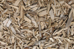 biomass boilers Austen Fen