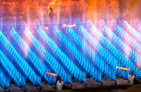 Austen Fen gas fired boilers